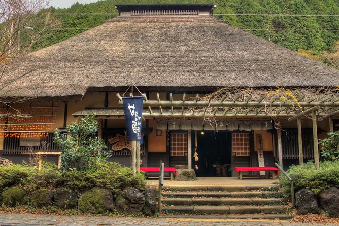 Custom Private Tour in Hakone with a Certified Local Guide - Hakone Ropeway views: optional, but very much the point