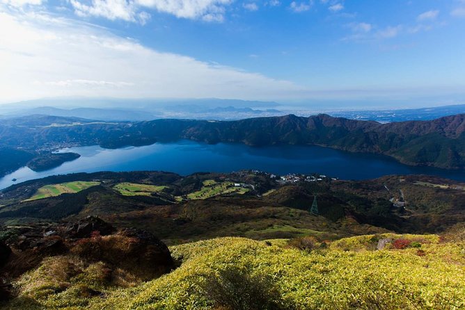 Custom Private Tour in Hakone with a Certified Local Guide - Hakone-machi and cedar trees: the gentle classic stop