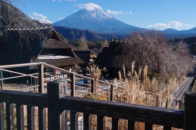 Customisable Mt.Fuji Private Day Trip, English Speaking Driver - Key things I’d bookmark before you go