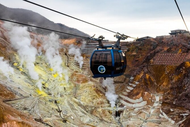 Customizable Private Full Day Hakone Tour by car - A private Hakone day that you can actually shape