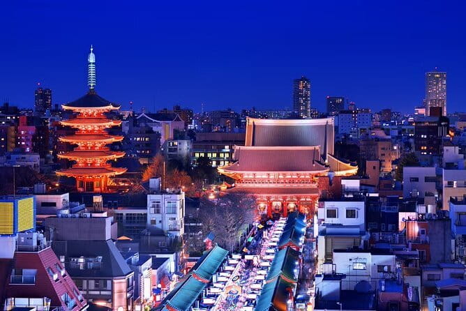 Customizable Private Tokyo Tour with an English-speaking Driver - Driver quality: what the best ones do for you