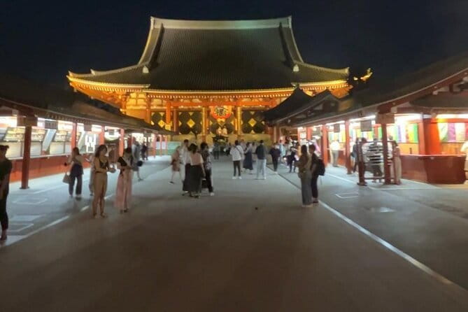 Customizable Private Tokyo Trip with an English Speaking Driver - The Real Value of a Private Driver in Tokyo