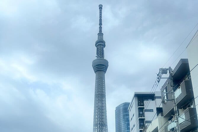 Customizable Private Tokyo Trip with an English Speaking Driver - Stop 4: Tokyo Skytree Views (Pay the Ticket, Get the Payoff)