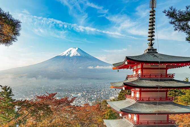 Customizable Private Tour in Mt Fuji from Tokyo by Car or Van - Key Things That Make This Mt Fuji Private Tour Work