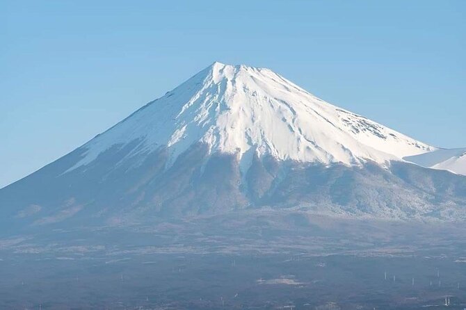 Customizable Private Tour in Mt Fuji from Tokyo by Car or Van - Small Breaks That Make the Day Feel Less Like a Checklist