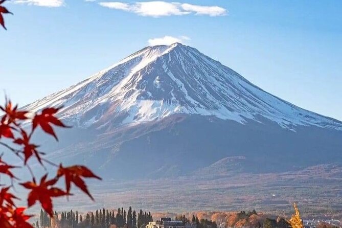 Customizable Private Tour in Mt Fuji from Tokyo by Car or Van - Optional Add-Ons: Ropeway, Caves, and the Fuji 5th Station