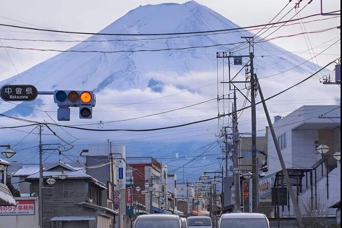 Customizable Private Tour in Mt Fuji from Tokyo by Car or Van - Traditional Village Time and Art Stops (Also Optional)
