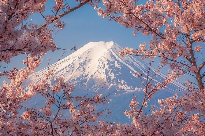 Customizable Private Tour in Mt Fuji from Tokyo by Car or Van - Who This Tour Fits Best (And Who Might Be Happier Elsewhere)
