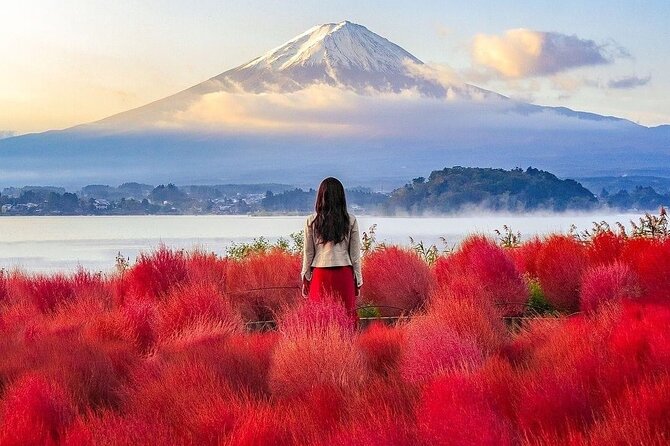 Customizable Private Tour in Mt Fuji from Tokyo by Car or Van - Custom Route Basics: How You Build Your Best Fuji Day