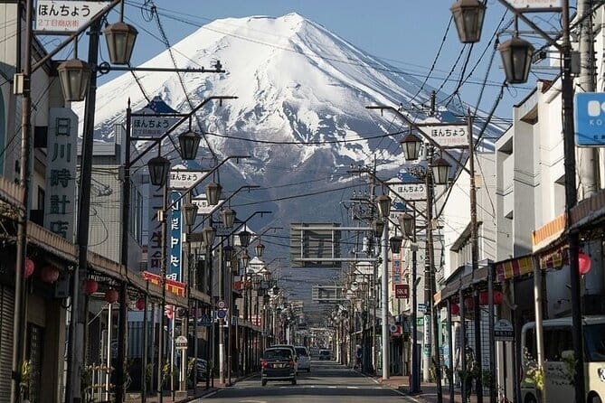 Customizable Private Tour in Mt. Fuji with Private Driver - Private driver comfort that actually changes the day
