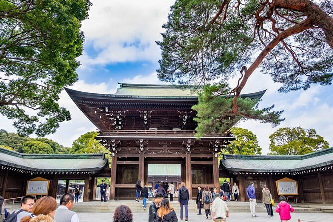 Customizable Private Tour in Mt. Fuji with Private Driver - Oishi Park and the seasonal garden payoff