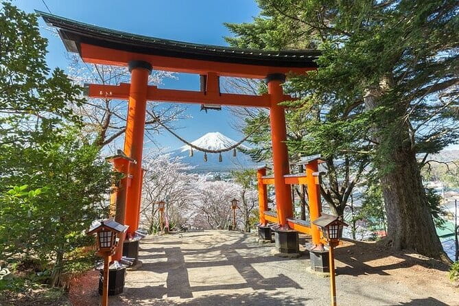 Customizable Private Tour in Mt. Fuji with Private Driver - Ropeway views: the Mt. Fuji Panoramic Ropeway option