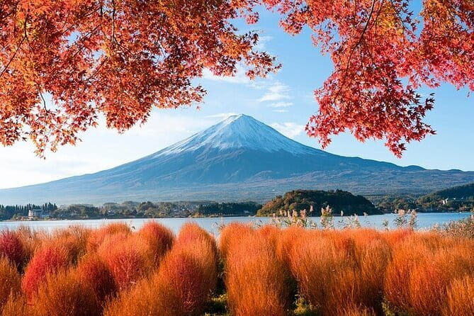 Customizable Private Tour in Mt. Fuji with Private Driver - Price and value: what $439 buys when you split it