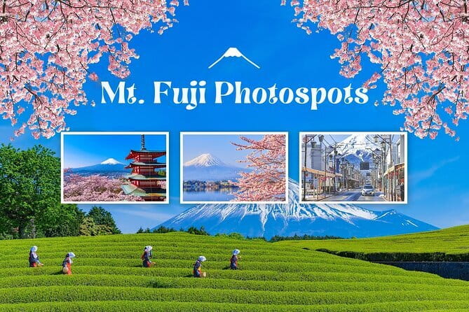 Customizable Tokyo Tour - Quick tips so your customizable day actually works