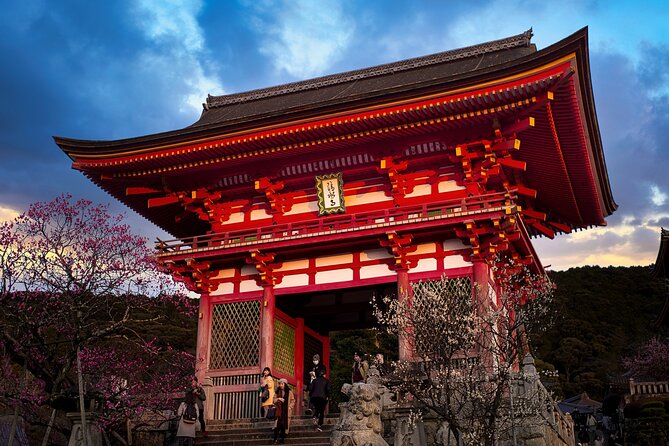 Customized 10-Day Golden Route of Japan Family Tour - Day 2 Tokyo: Meiji Jingu, Imperial Gardens, and Asakusa’s snack street