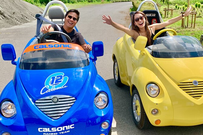 Cute & Fun E-Car tour following guide around Lake Kawaguchiko - Price and Logistics: What You’re Paying For (and how the day flows)