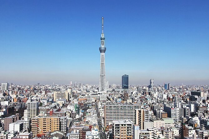 Day Private City Tour of Tokyo with English speaking driver - Why a private car day works so well in Tokyo