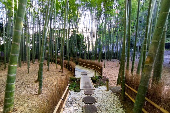 Day Trip to Kamakura & Enoshima: Shrines, Seaside, Temples & Tea - Getting There Smoothly: Shinjuku Start and the Free Pass