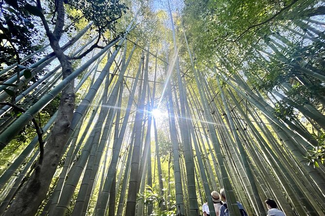 Day Trip to Kamakura & Enoshima: Shrines, Seaside, Temples & Tea - Enoshima Island: Sea Walk, Escalators, and Sea Candle Views
