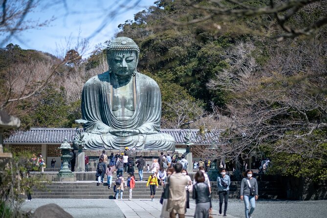 Day Trip to Kamakura & Enoshima: Shrines, Seaside, Temples & Tea - Tea, Koi, and the Little Stops That Make the Day Feel Real