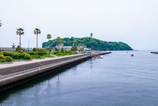 Day Trip to Kamakura & Enoshima: Shrines, Seaside, Temples & Tea - Pace, Walking, and Footwear Reality
