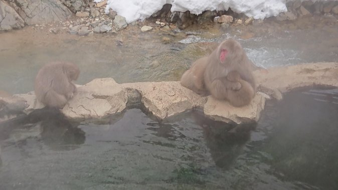 Day Trip to See the Snow Monkeys from Shinjuku with Lunch Buffet - Stop 1 in Suzaka: The Useful Break Before the Main Event
