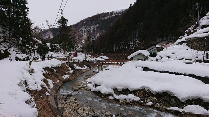 Day Trip to See the Snow Monkeys from Shinjuku with Lunch Buffet - Jigokudani Snow Monkey Park: Hot Springs, a Snow Walk, and Clear Rules