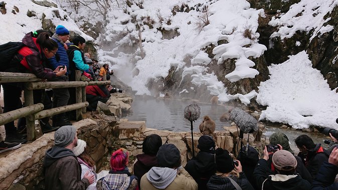 Day Trip to See the Snow Monkeys from Shinjuku with Lunch Buffet - Lunch at the Buffet: 130 Foods, Timing, and Vegetarian Planning