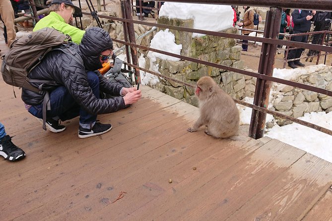 Day Trip to See the Snow Monkeys from Shinjuku with Lunch Buffet - Who This Tour Suits Best (and Who Might Want Another Option)
