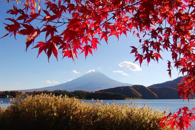 Discover Mt. Fuji 5th Station & Kawaguchiko Sightseeing Day Tour - How This 7:50 AM-to-Late-Day Bus Trip Really Works
