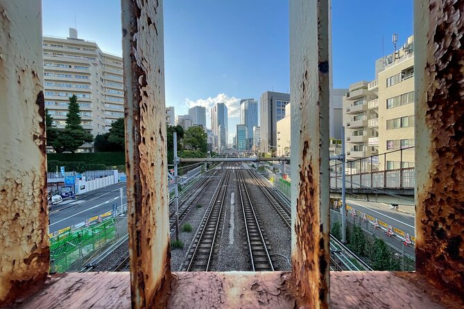 Discover Tokyo: 3-Hour Private Guided Photo Walking Tour - Shibuya’s photo territory: from Shibuya Station angles to shrine alleys