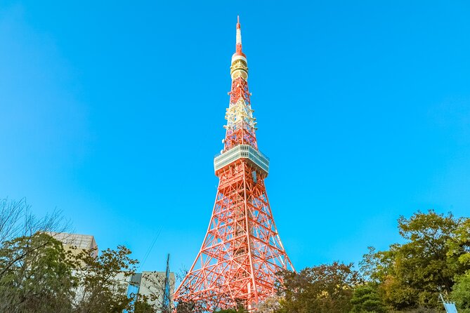 Discover Tokyo, Private Customized Tour with Expert Guides - Takeshita Street and Omotesando: Fashion Streets With a Plan