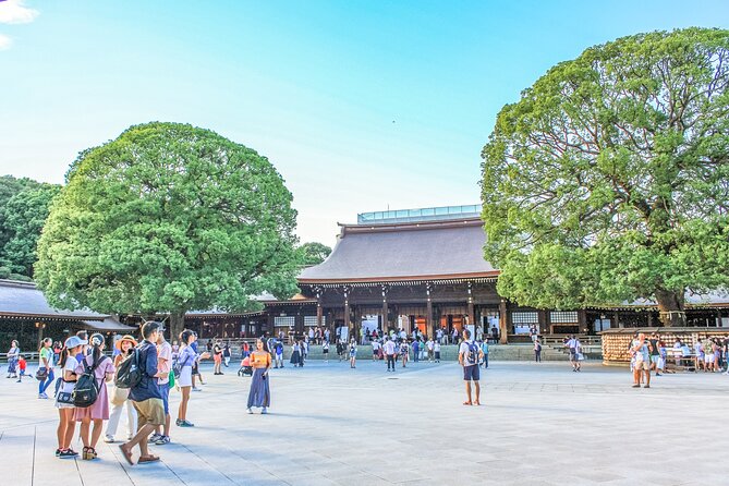 Discover Tokyo, Private Customized Tour with Expert Guides - Walking, Money, and Comfort Tips That Save Your Day