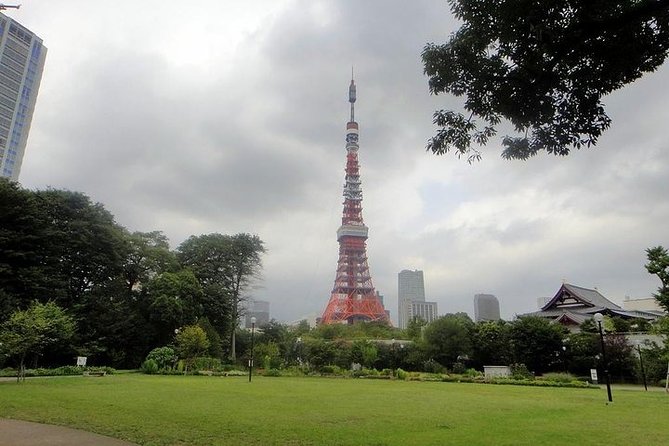 Discover your Tokyo -Private Tokyo Customized Walking Tour- - Omotesando: fashion brands and a street that changes as you walk