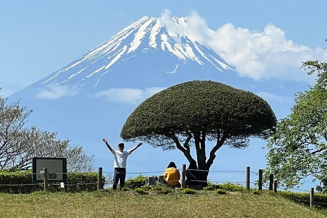Do You Want to Try Skywalk? A New Way of Enjoying Hakone! - Stop 4: Mishima Skywalk—the 400m bridge with Mount Fuji views