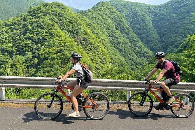 E-bike Rental in Okutama, Tokyo - Key Highlights You’ll Care About