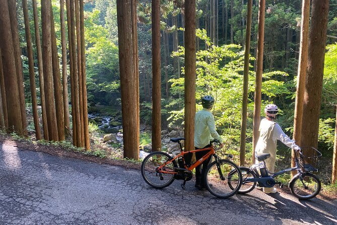 E-bike Rental in Okutama, Tokyo - Choosing Your Bike and Getting the Fit Right