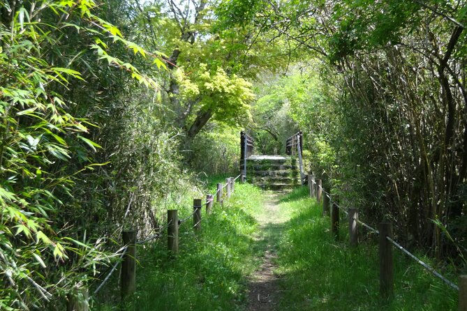 Easygoing Nature Walk in Hakone Tour - Key Things That Make This Hakone Nature Walk Worth It