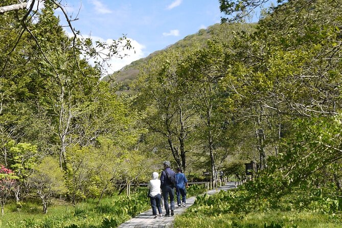 Easygoing Nature Walk in Hakone Tour - Weather Reality: When Rain Happens (and When It Doesn’t)