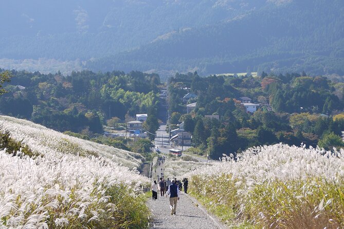 Easygoing Nature Walk in Hakone Tour - Stop 1: Hakone Botanical Garden of Wetlands (1.5 Hours, Ticket Included)