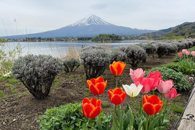 English Guided Mt. Fuji and Lake Kawaguchi Group Tour - Lake Kawaguchiko: lunch, lakeside views, and optional rides
