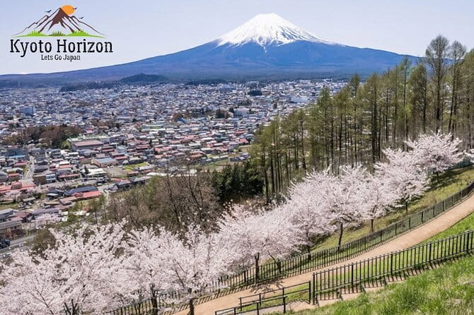 English Guided Mt. Fuji and Lake Kawaguchi Group Tour - Price and what it really buys you ($446 for up to 6)