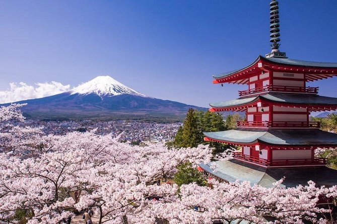 Enjoy Mt. Fuji View and free time shopping at Gotemba Outlets! - Key things I’d watch for