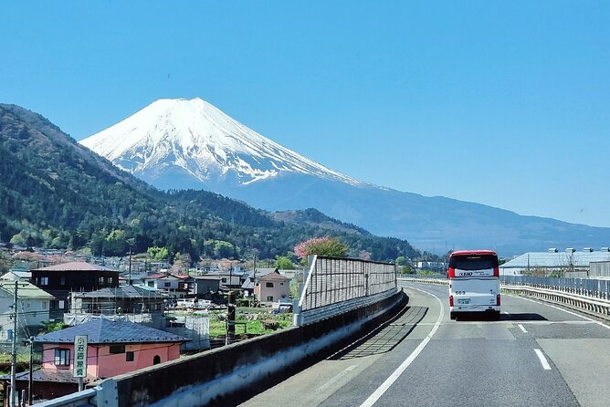 Enjoy Mt. Fuji View and free time shopping at Gotemba Outlets! - Tokyo to Fuji in one organized loop