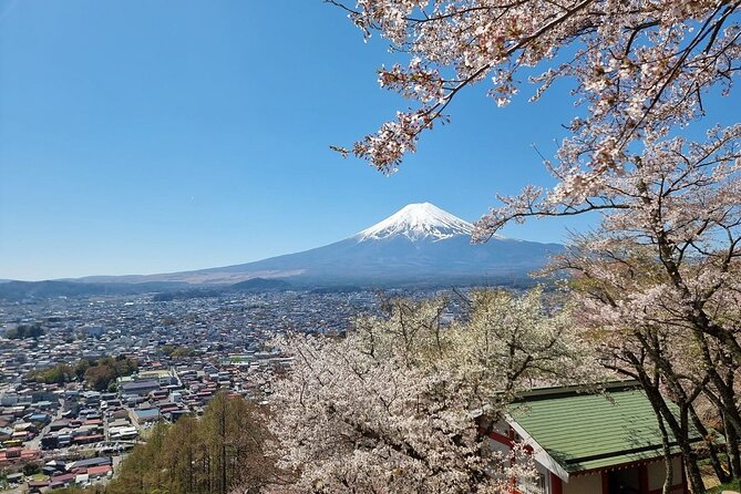 Enjoy Mt. Fuji View and free time shopping at Gotemba Outlets! - Price and value: when $45.61 makes sense