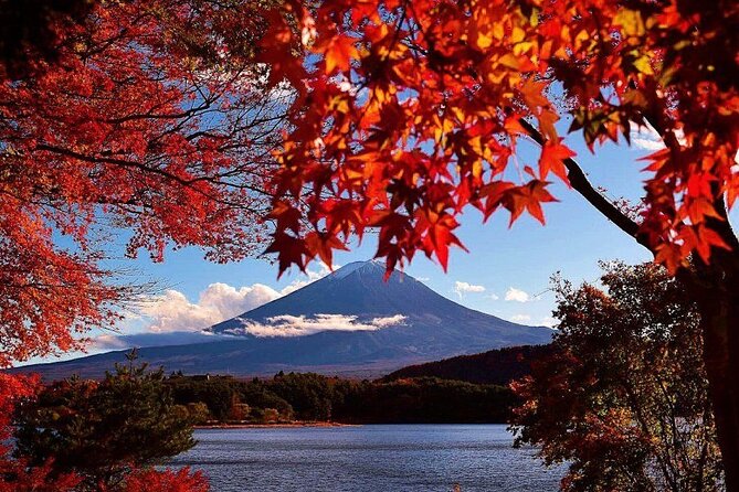 Enjoy Mt. Fuji View and free time shopping at Gotemba Outlets! - Guides on this route: what to expect from the human side