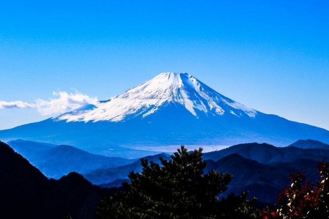 Enjoy Mt. Fuji View and free time shopping at Gotemba Outlets! - Arakura Fuji Sengen Shrine: cherry blossoms and a real stair workout