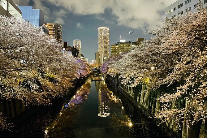 Exciting Evening of Eats in Tokyo - Stop 1: Nakameguro river lanes and alley dining