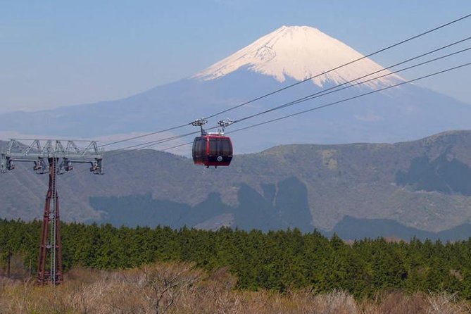 Exciting Hakone - One Day Tour from Tokyo - Hakone Yumoto to Gora: the mountain train ride with hydrangeas in season