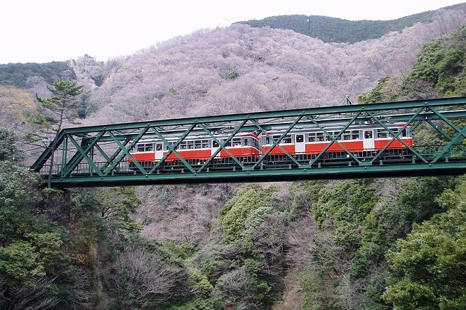 Exciting Hakone - One Day Tour from Tokyo - Up to Owakudani: volcanic steam, the black egg, and real Hakone power